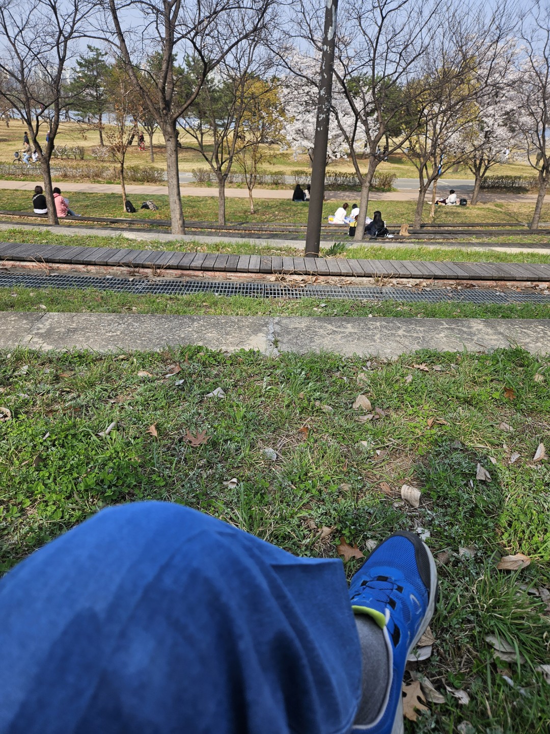 Post image 6
