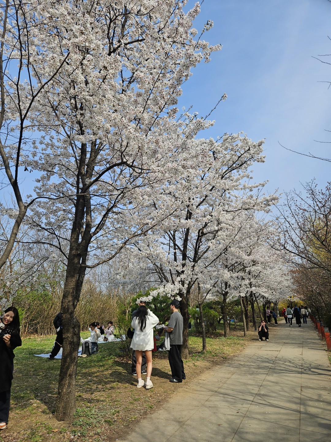 Post image 4