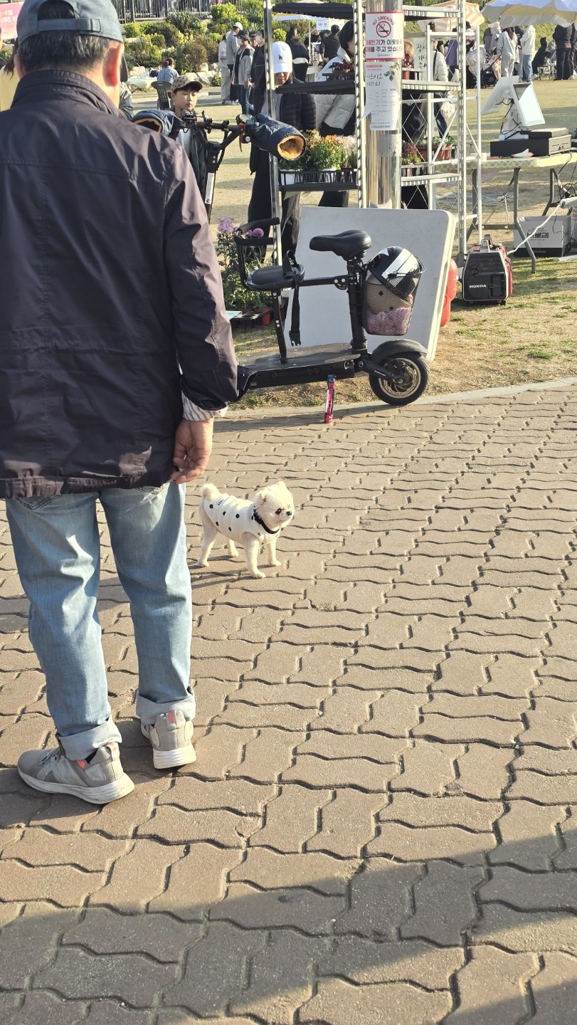 로드 헬멧 뭐 살지 고민이면 이것만 보세요｜가격대별 추천 정리