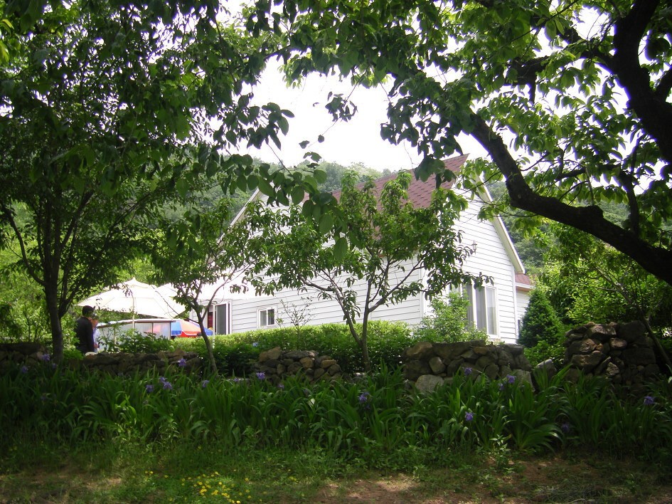 Post image 5