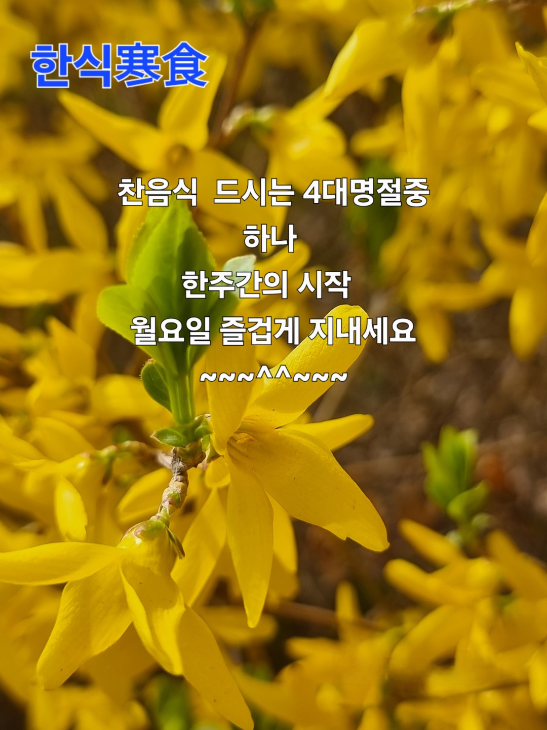 Post image 16