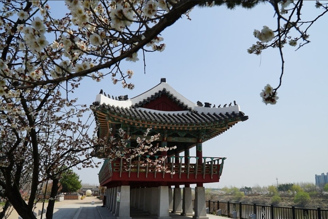 Post image 16