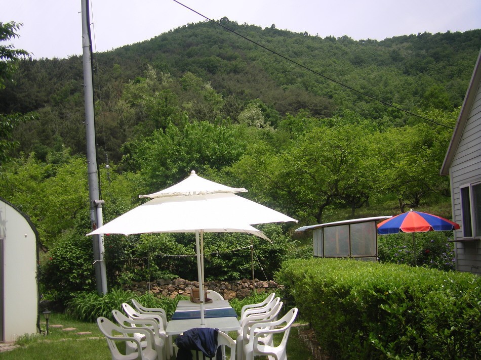 Post image 10