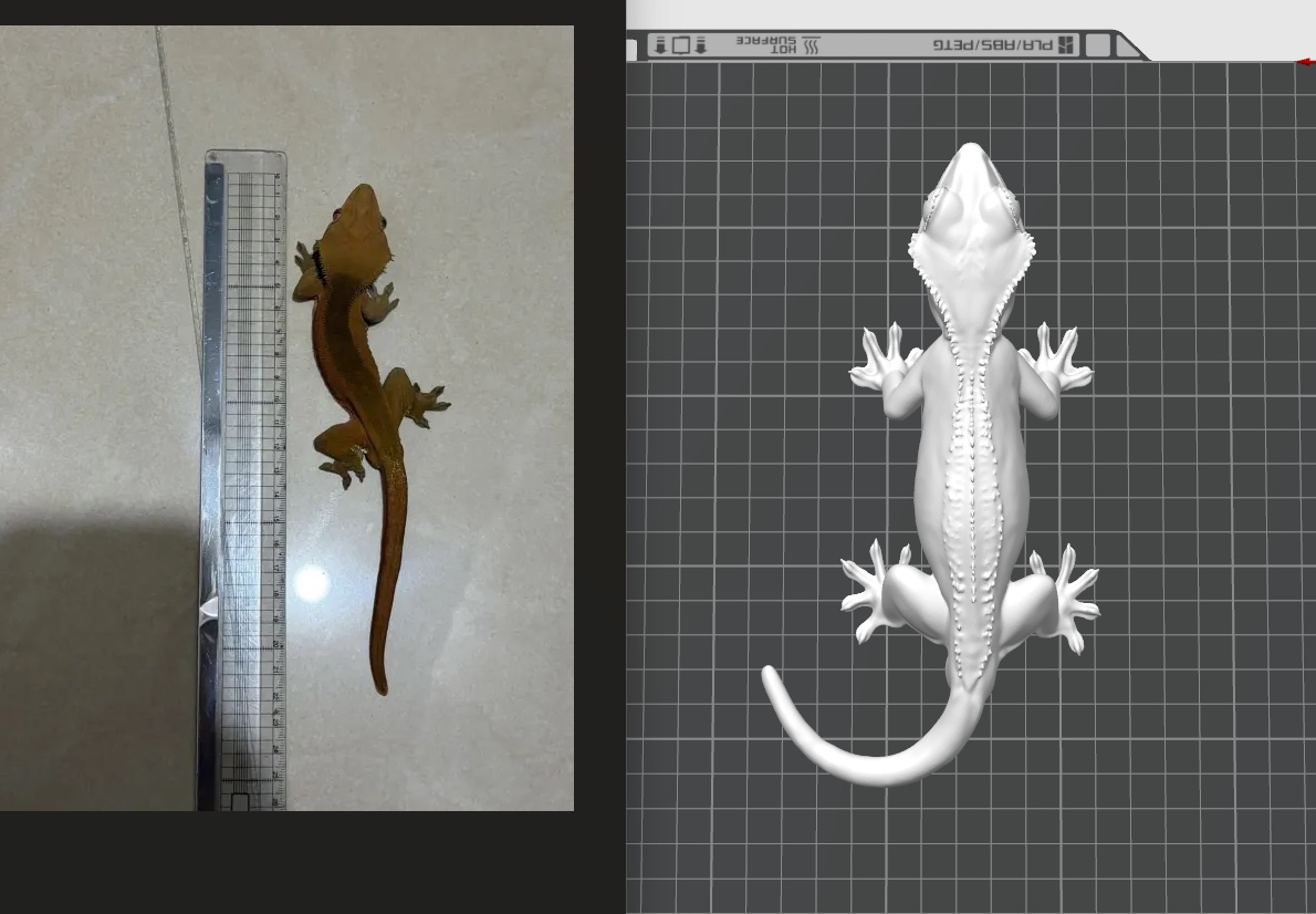 레몬이 작업 상황(도마뱀)