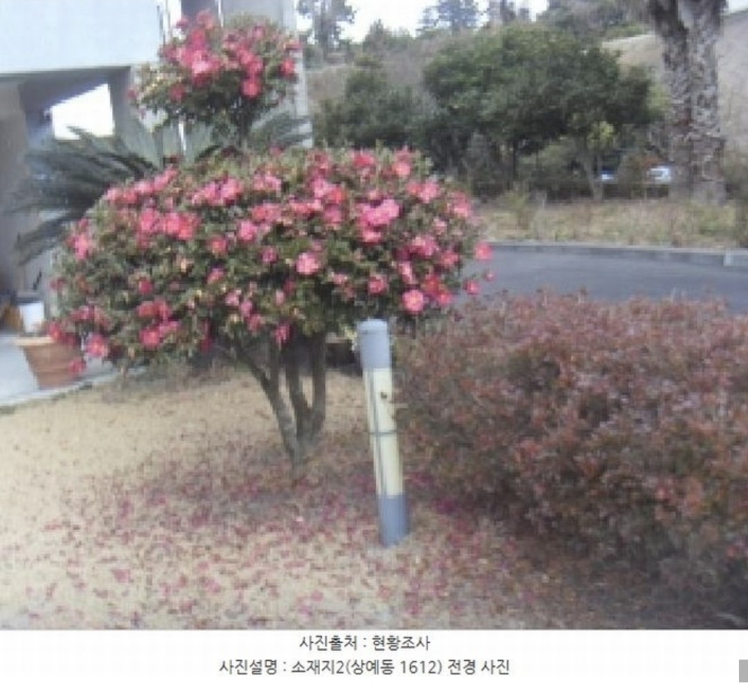 Post image 13