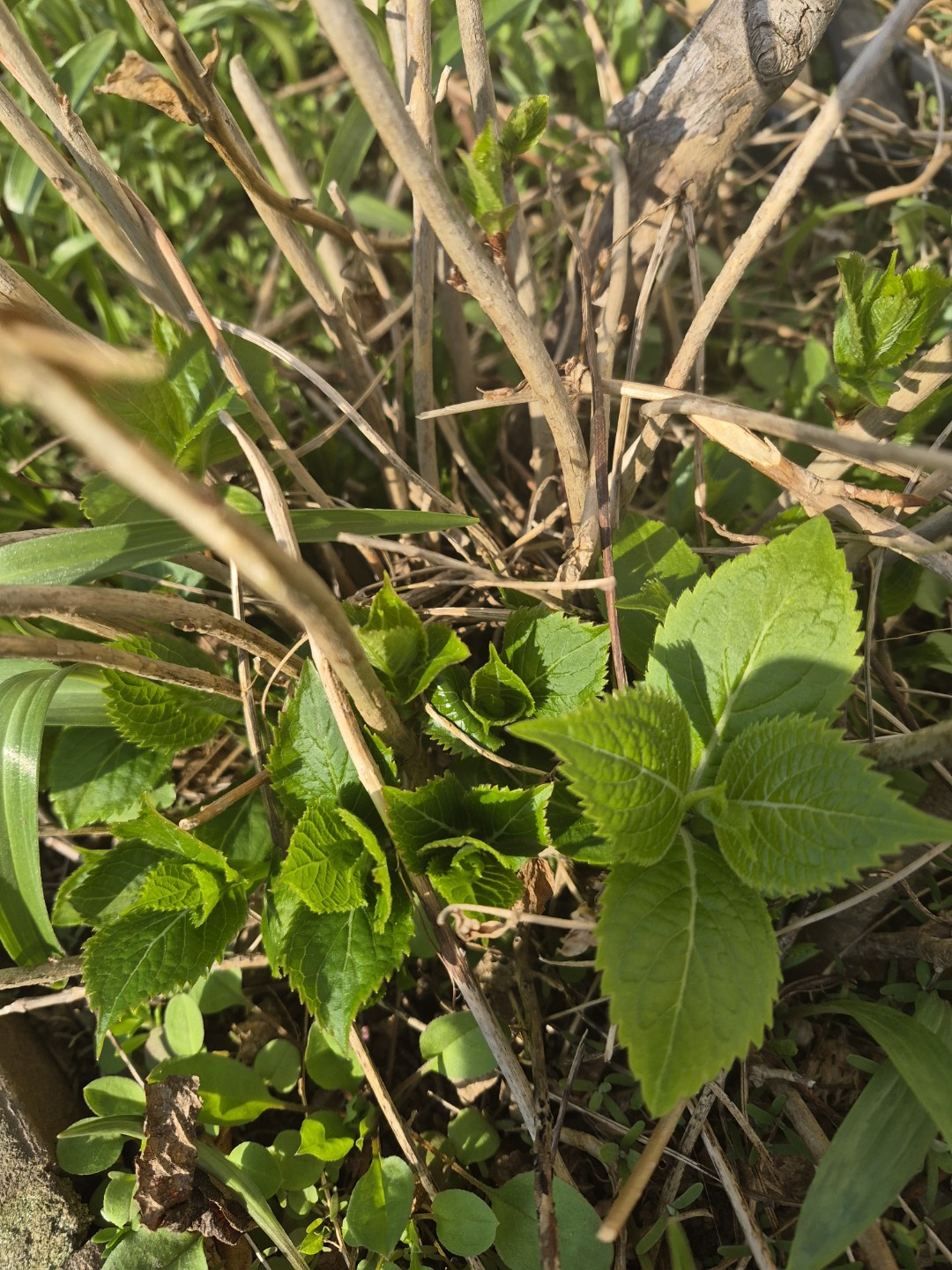 Post image 4