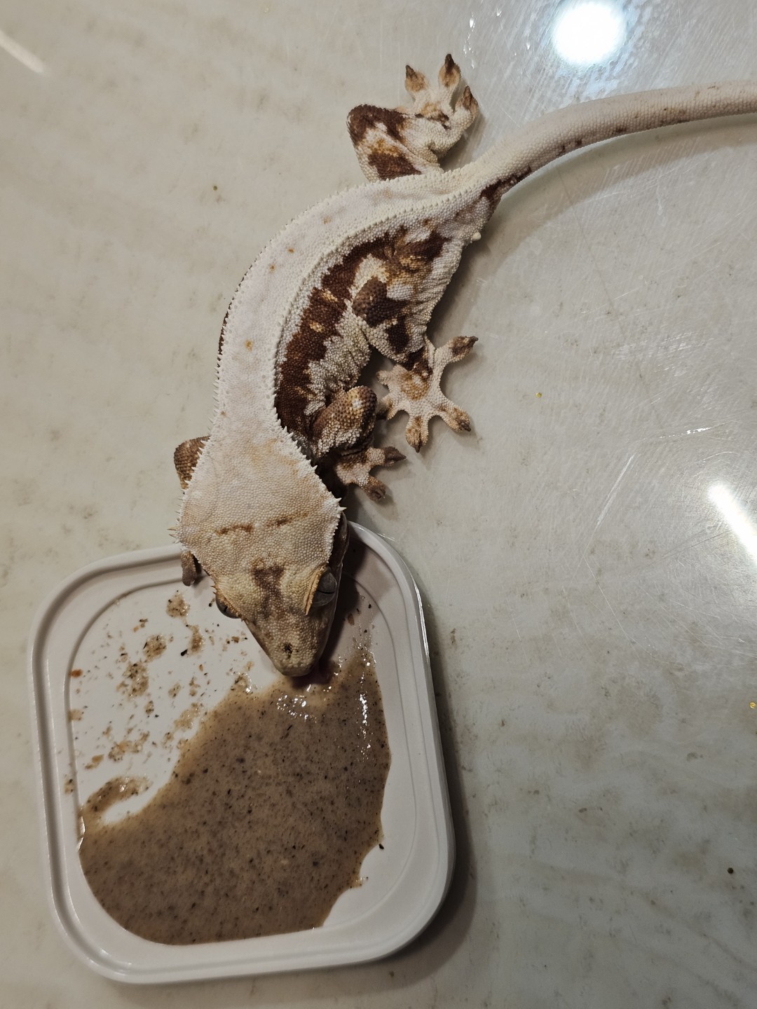 Post image 4