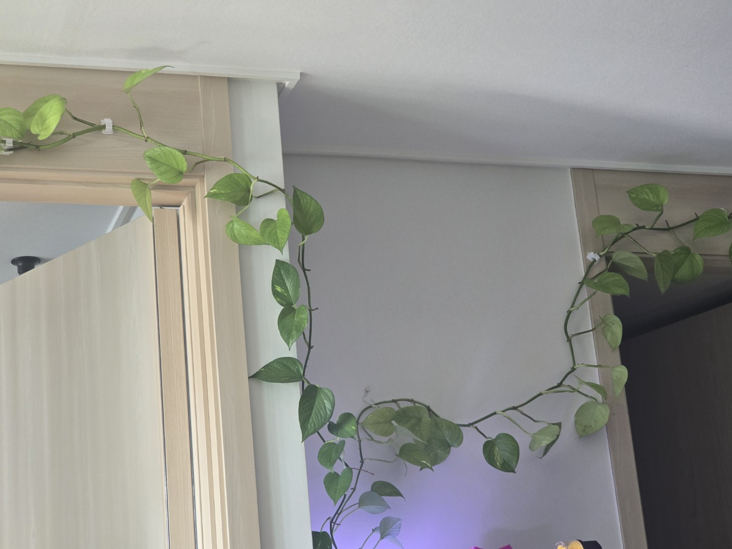 Post image 5