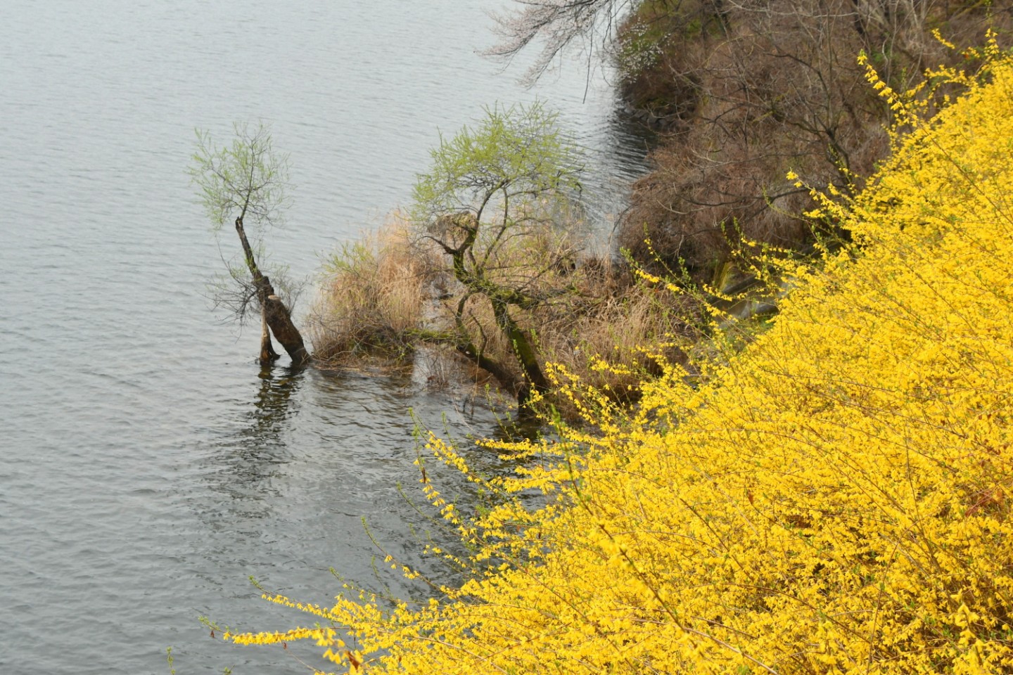 Post image 6