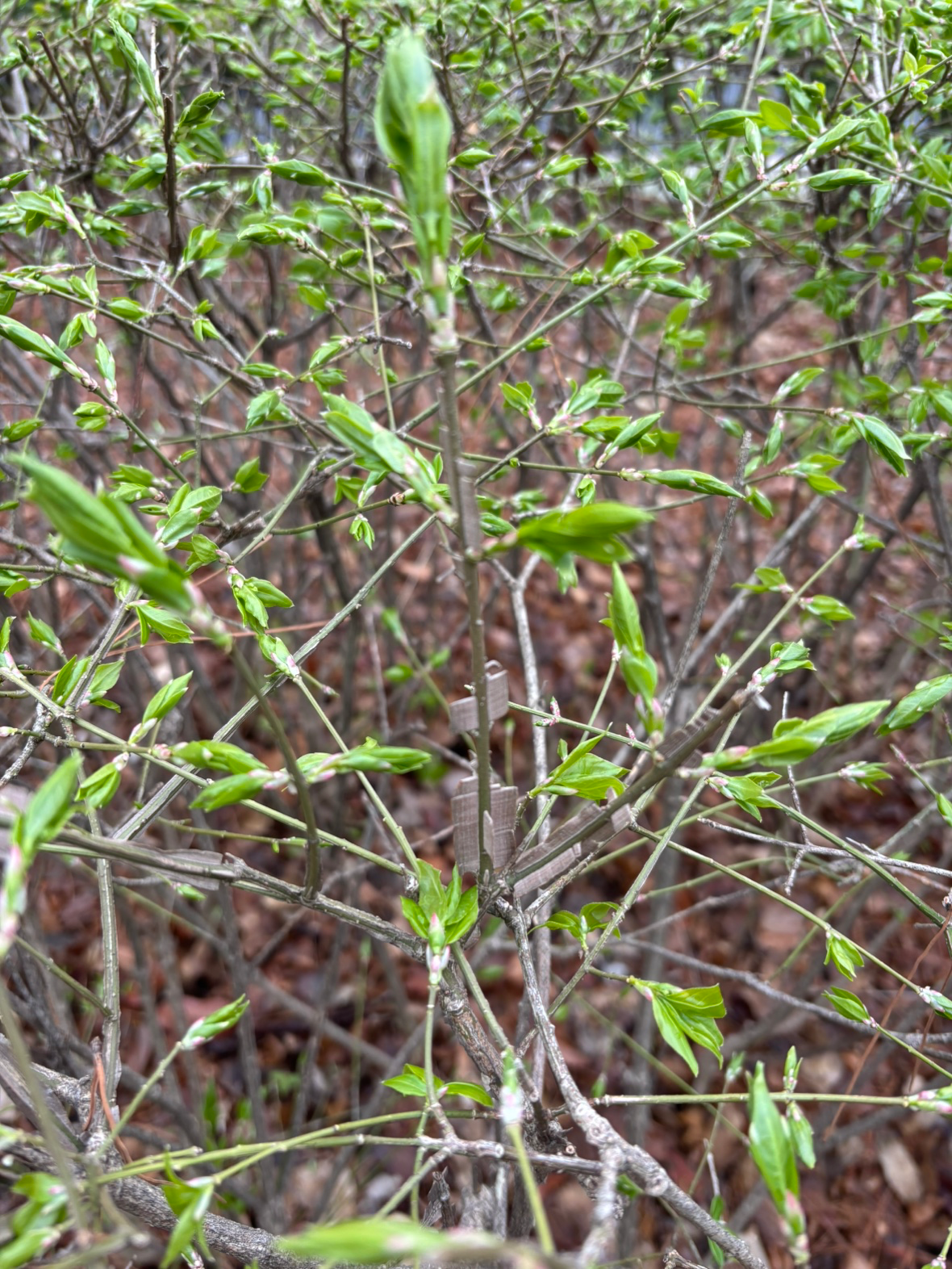 띵띵땅땅님 응원합니다!