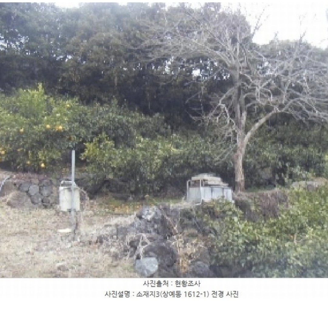 Post image 16