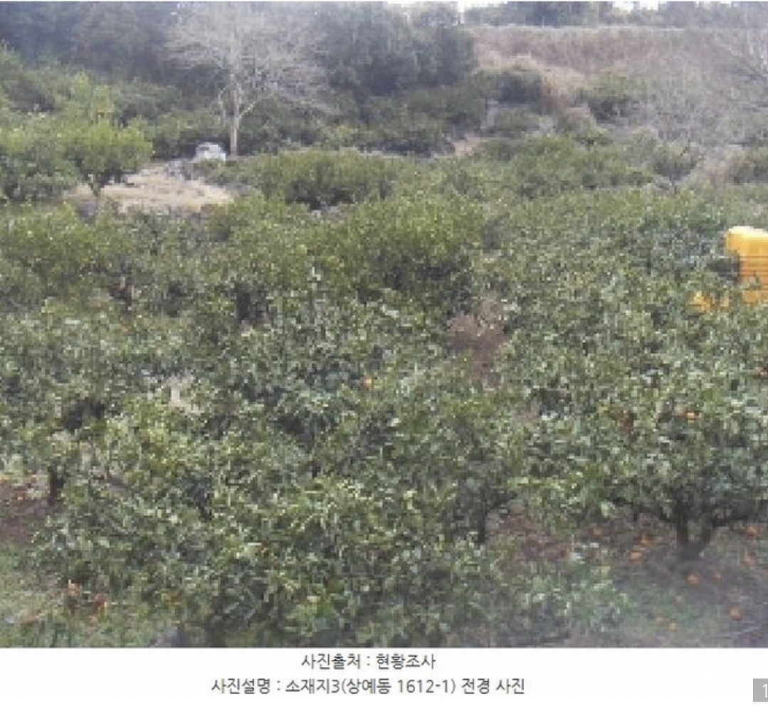 Post image 15