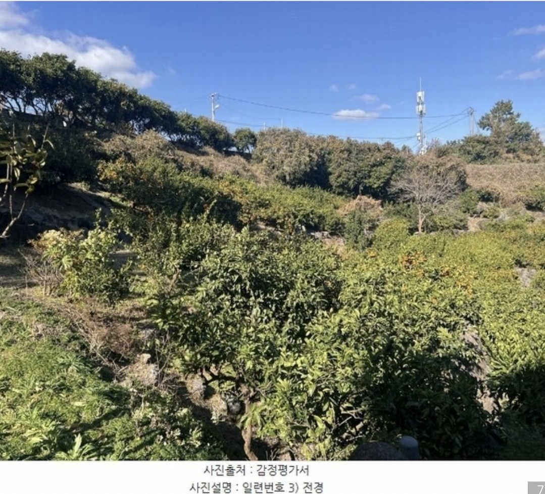 Post image 10