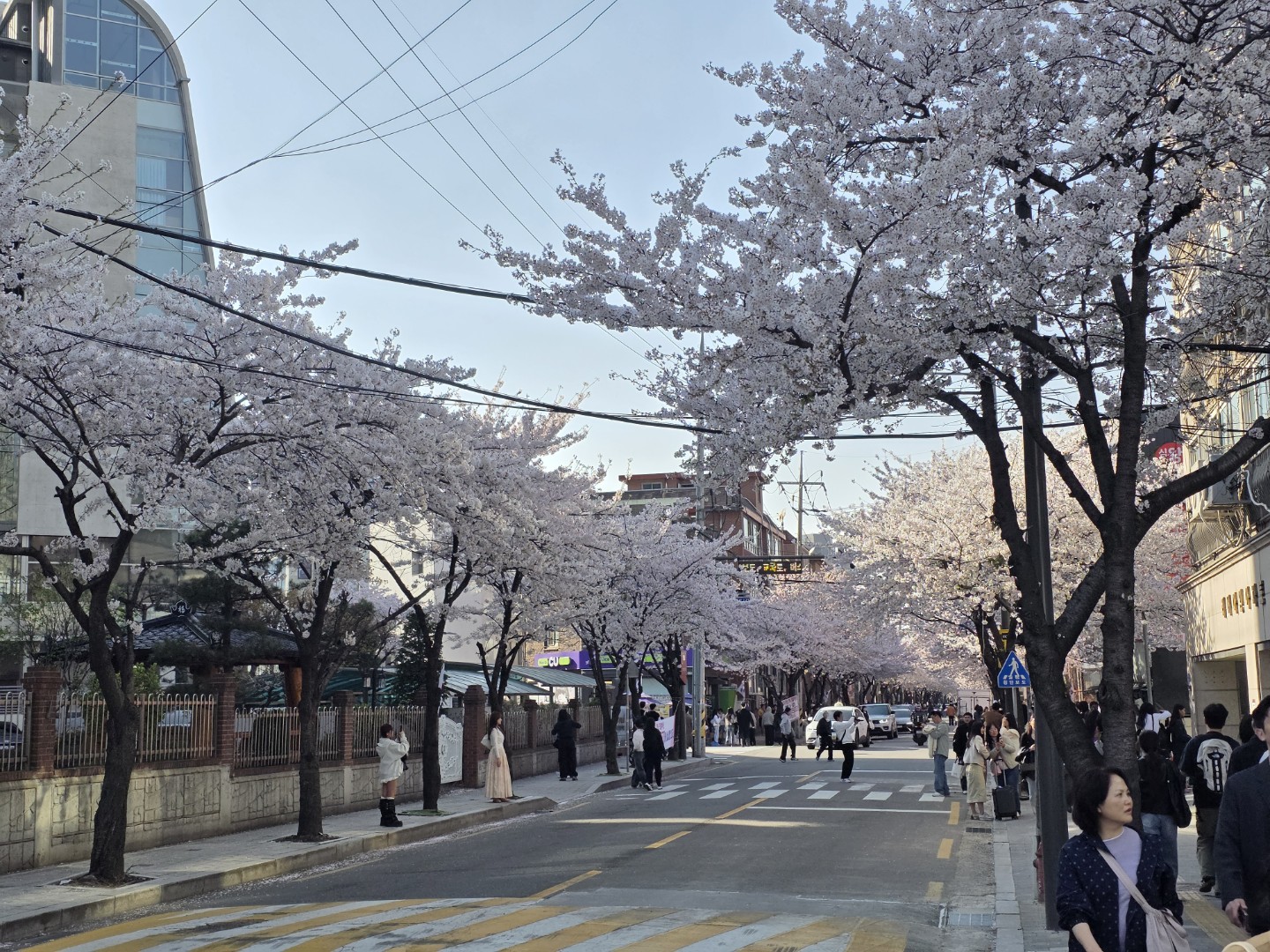Post image 5