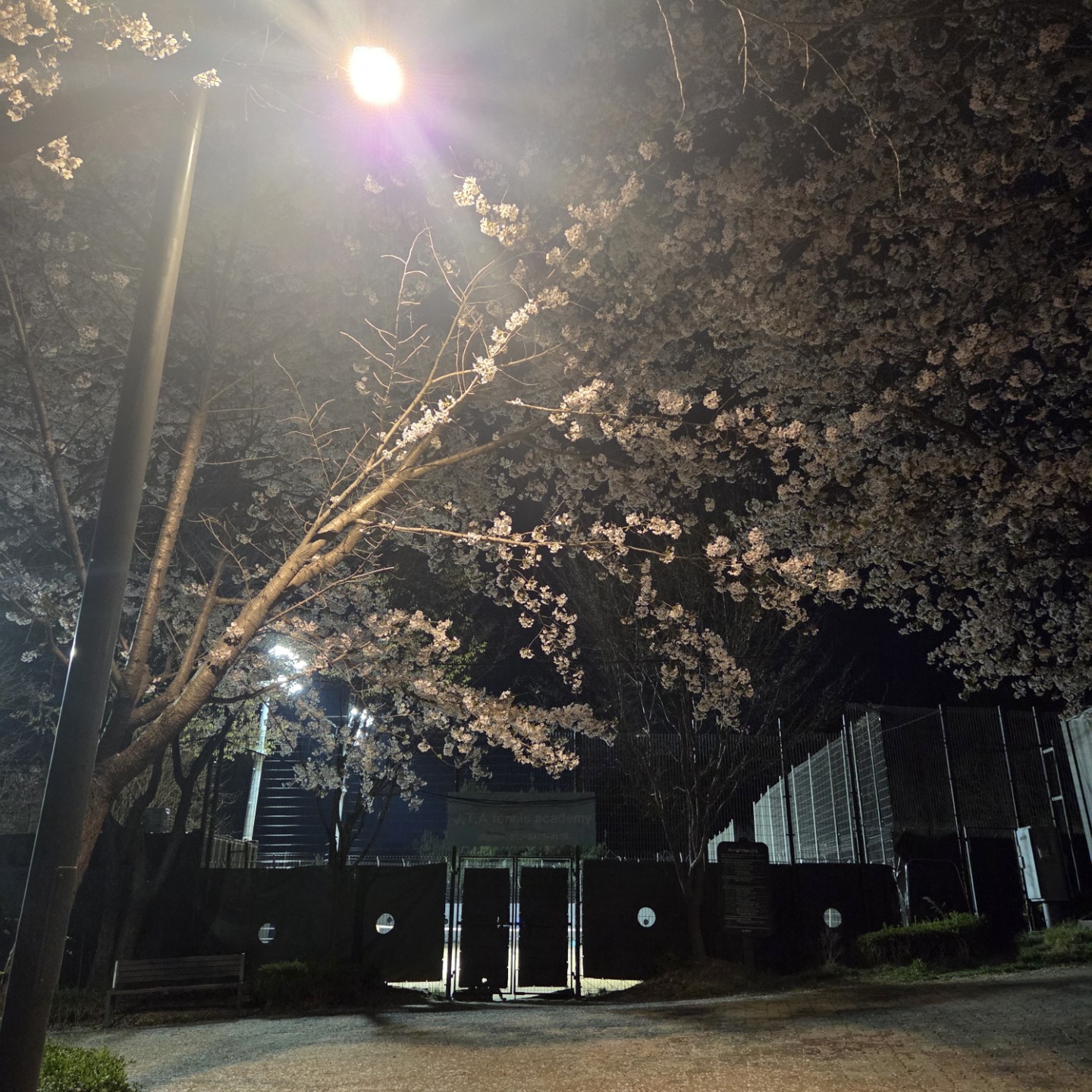 Post image 1