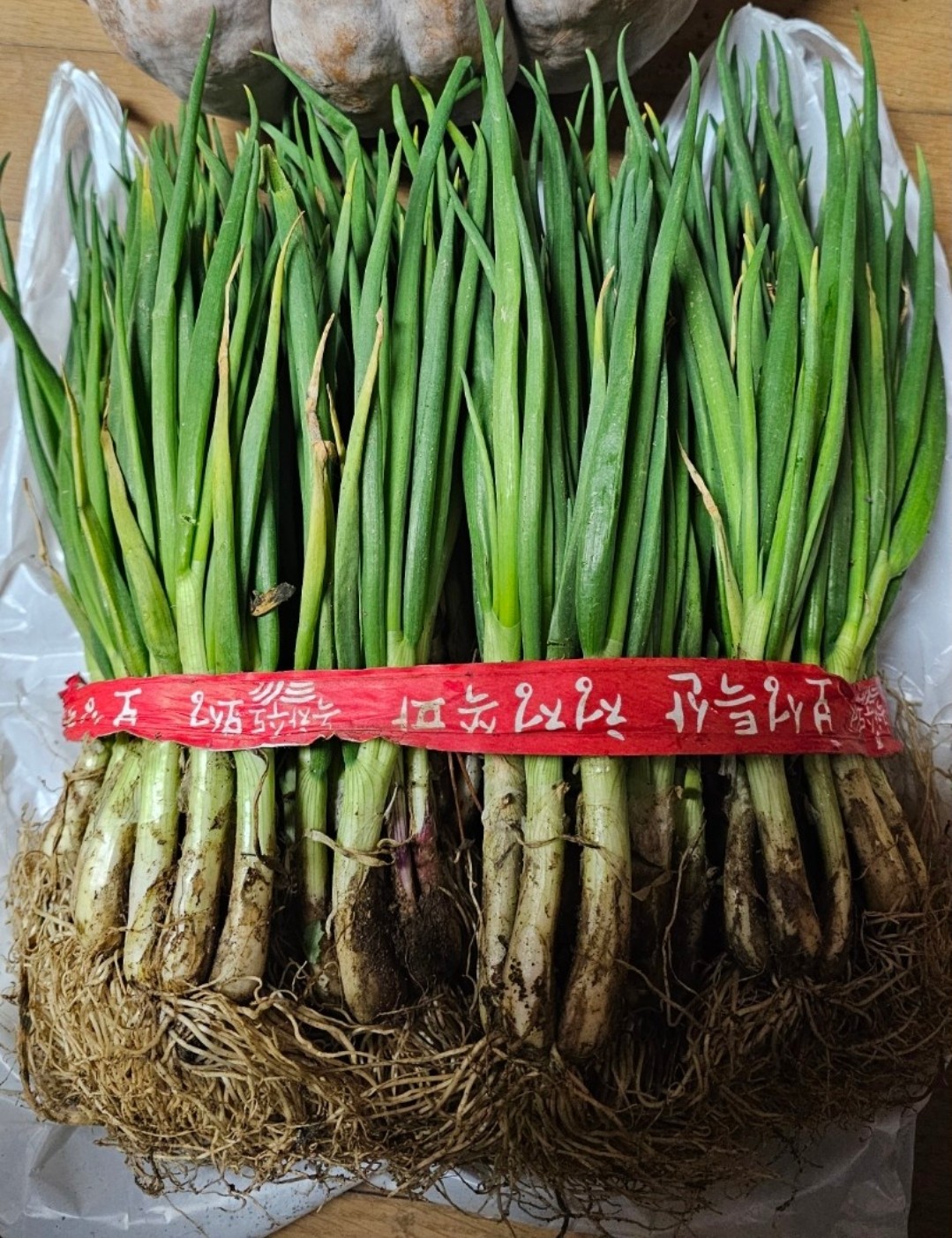 Post image 10