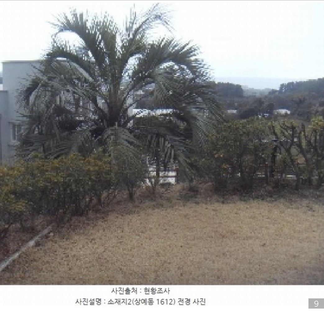 Post image 12