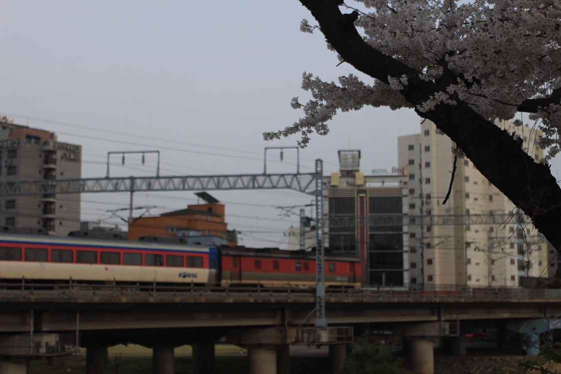Post image 16