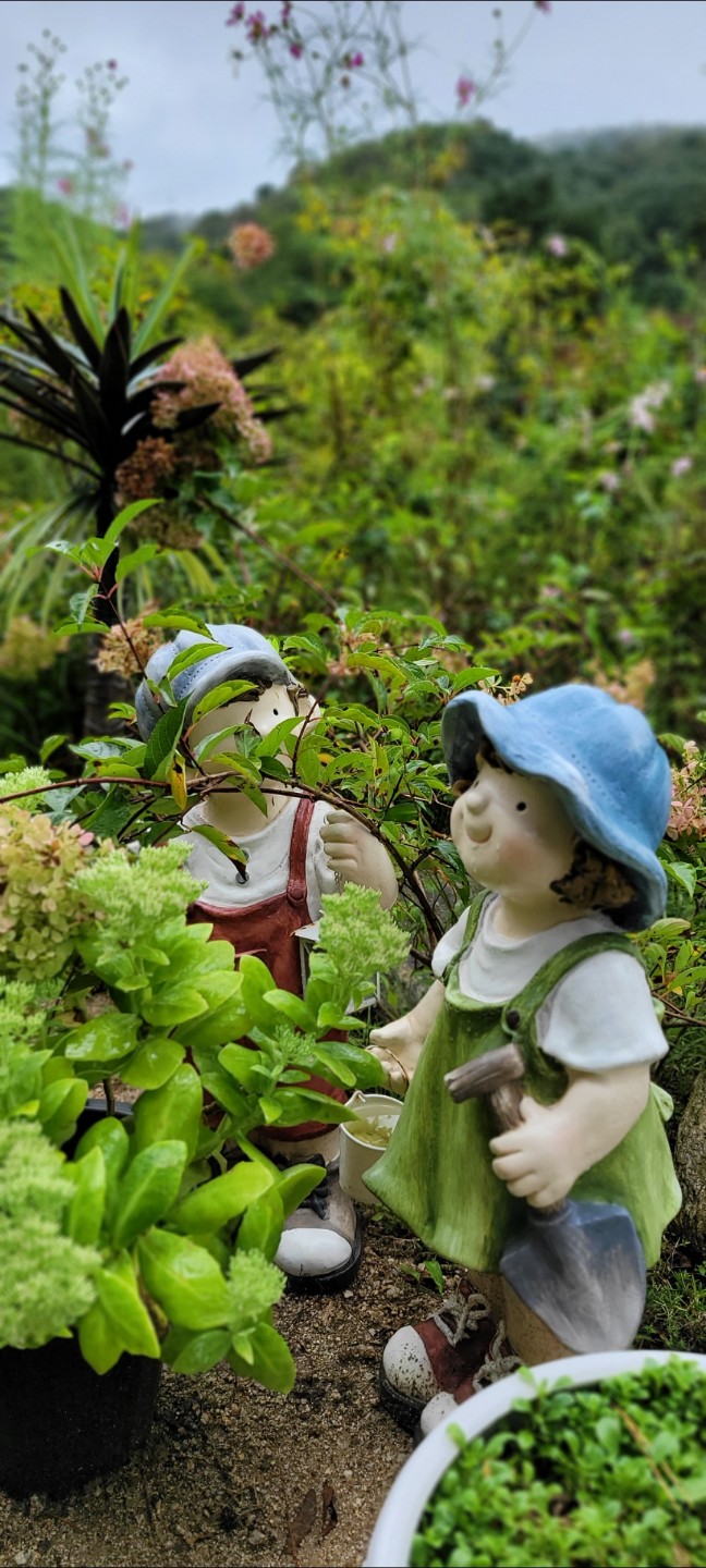 예쁜정원 꾸미기는 정말 어려운거 같읍니다~