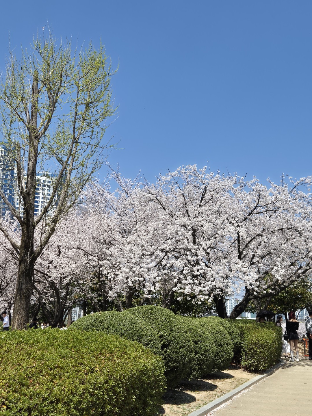 Post image 13