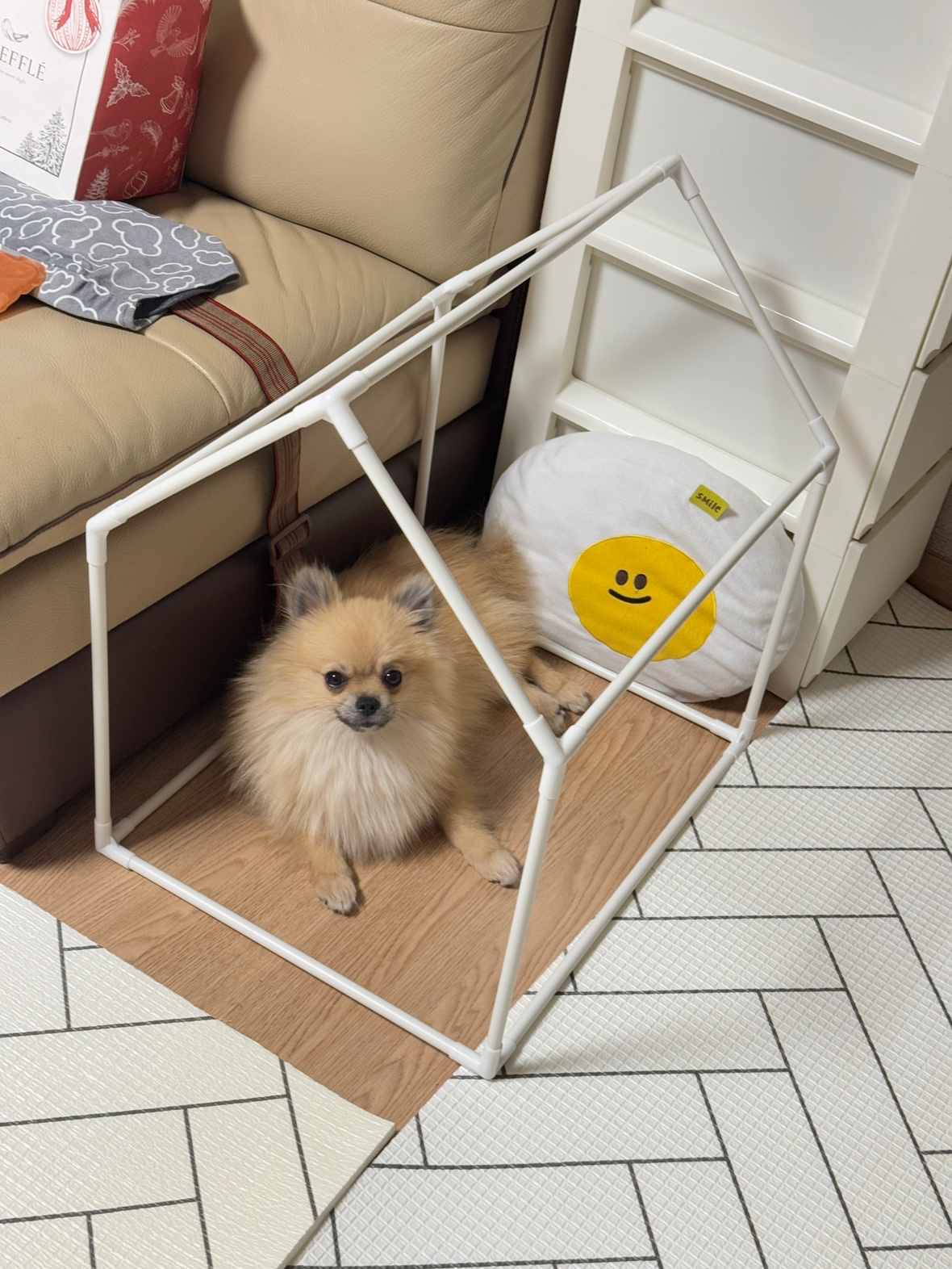 Post image 6