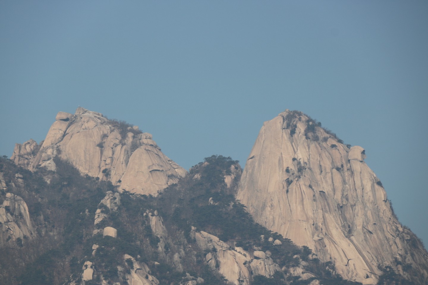 Post image 7