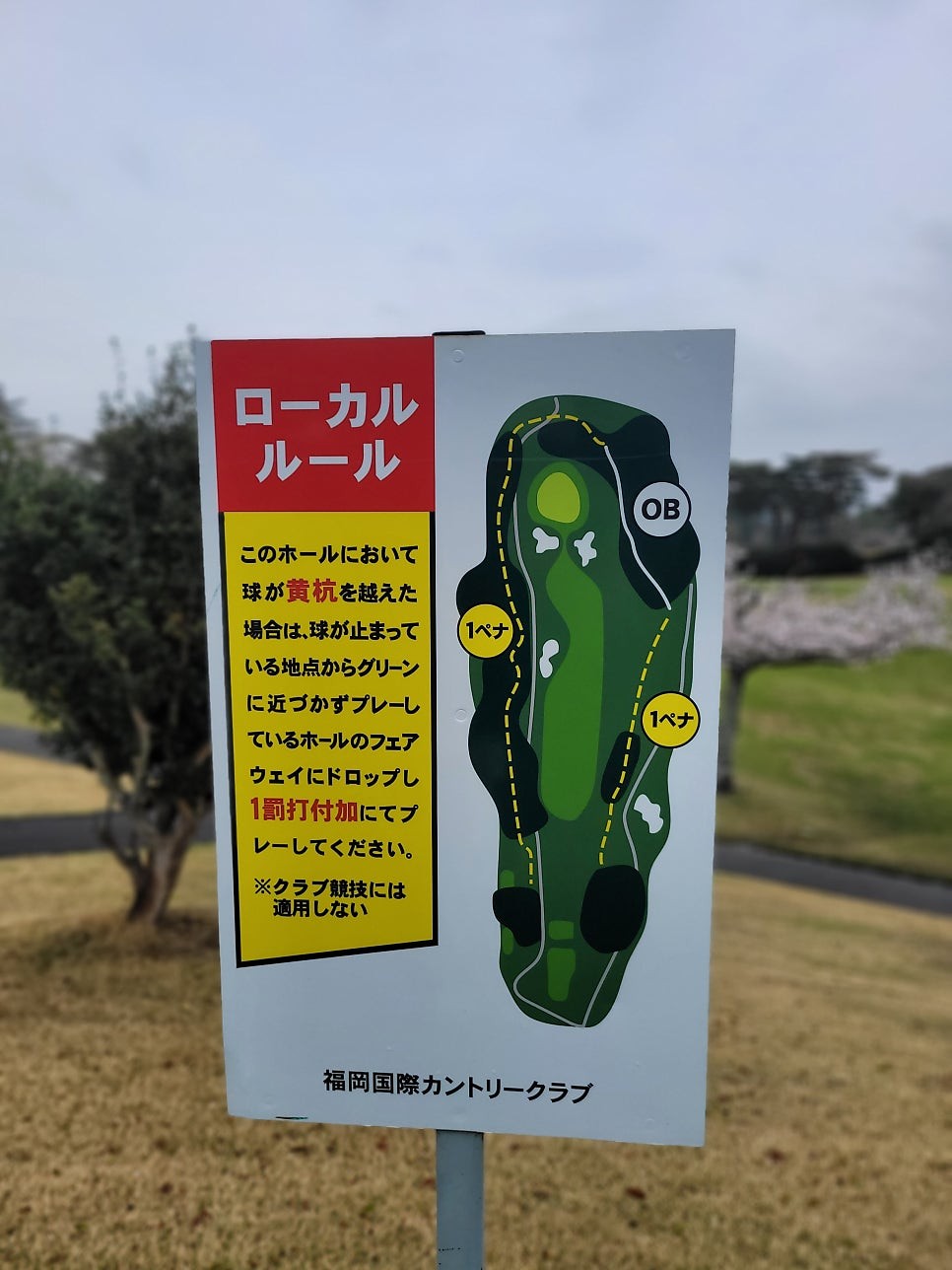 Post image 6