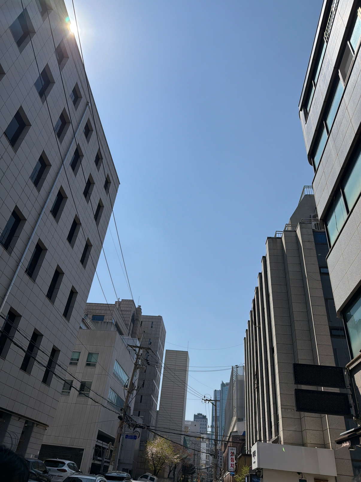 이제야 봄이 오나요