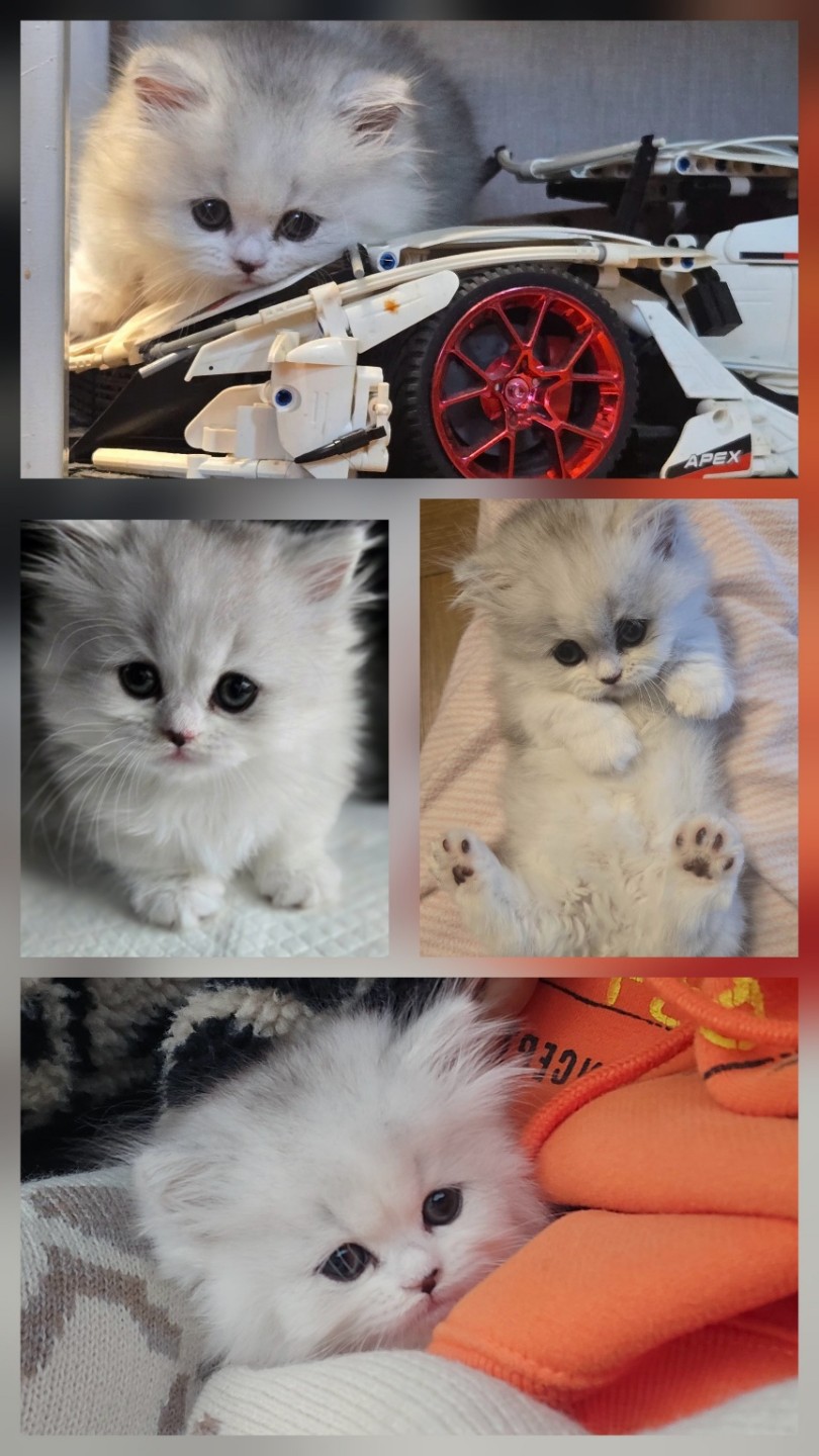 Post image 1