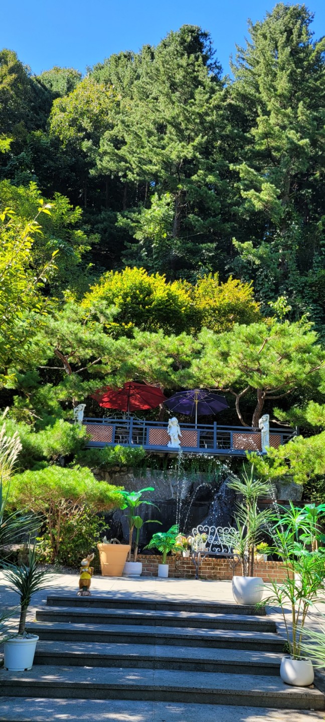 예쁜정원 꾸미기는 정말 어려운거 같읍니다~