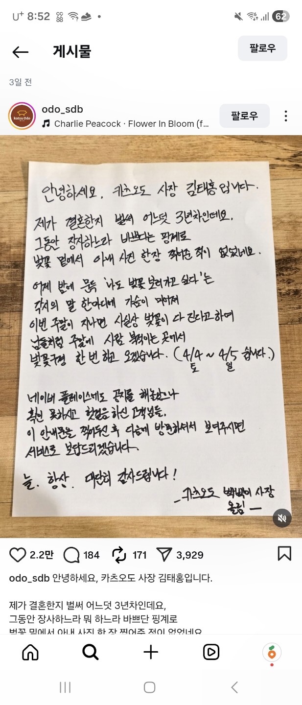 그동안 장사하느라 바쁘다는 핑계로 벚꽃 한번