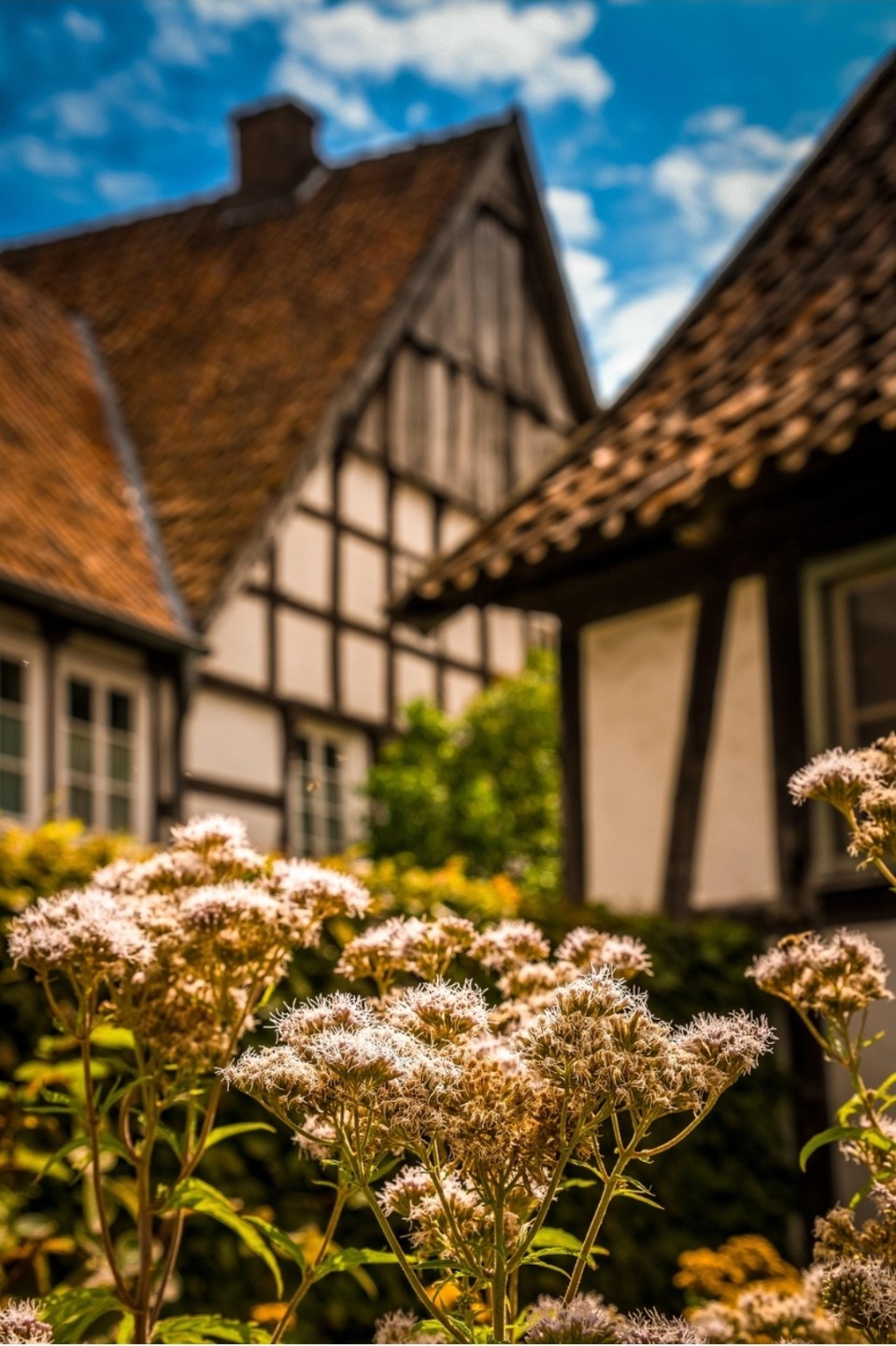 👉 시골집, 전원주택 다들 어디 많이 보시나요?