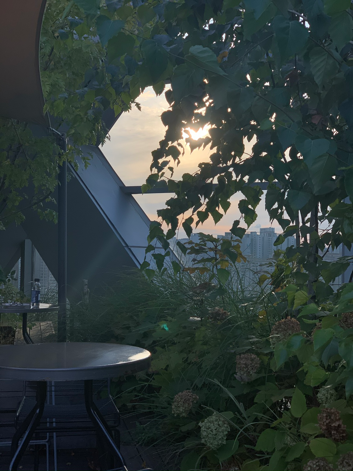 피크닉 가고싶다 💚