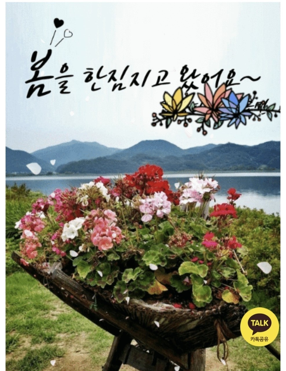 2026 4 9 목 출석부  오랜 세월 견뎌온 당신의 어깨가 봄볕 아래 잠시 쉬어가기를