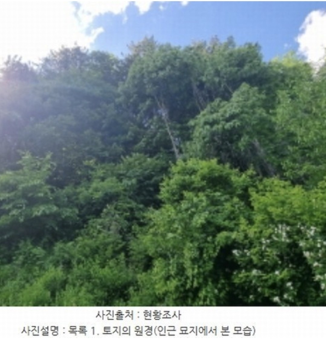 Post image 6