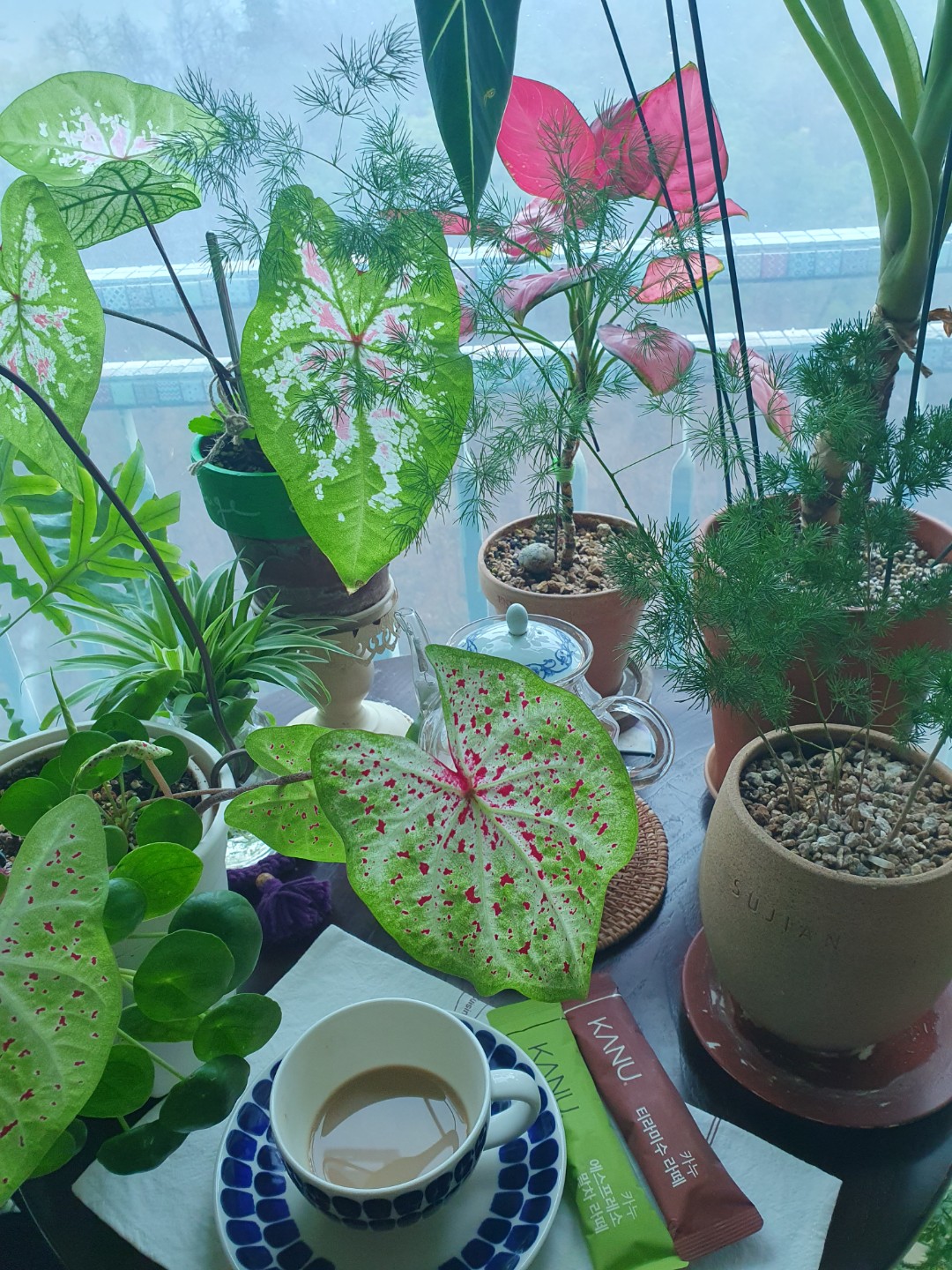 비오는날은 라떼처럼