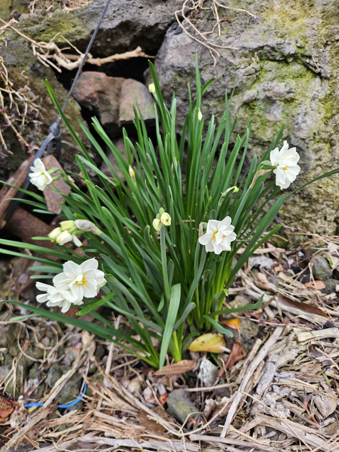 Post image 6
