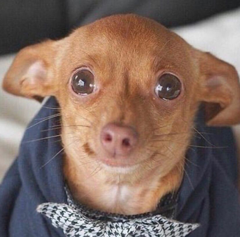 오늘 바닥에 떨어진 쓰레기 모른척한 것 반성합니다