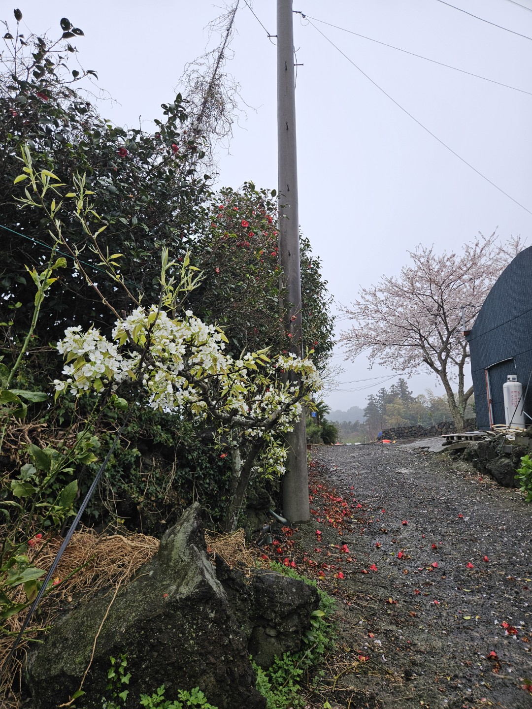 Post image 3