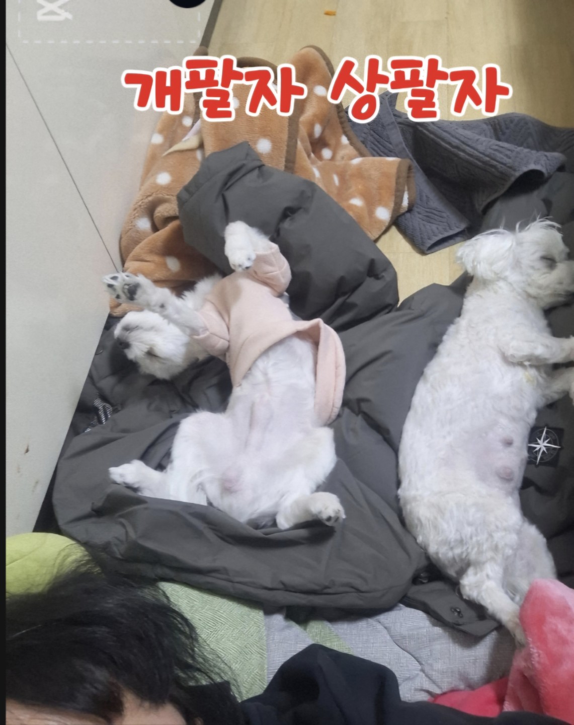한가족입니다