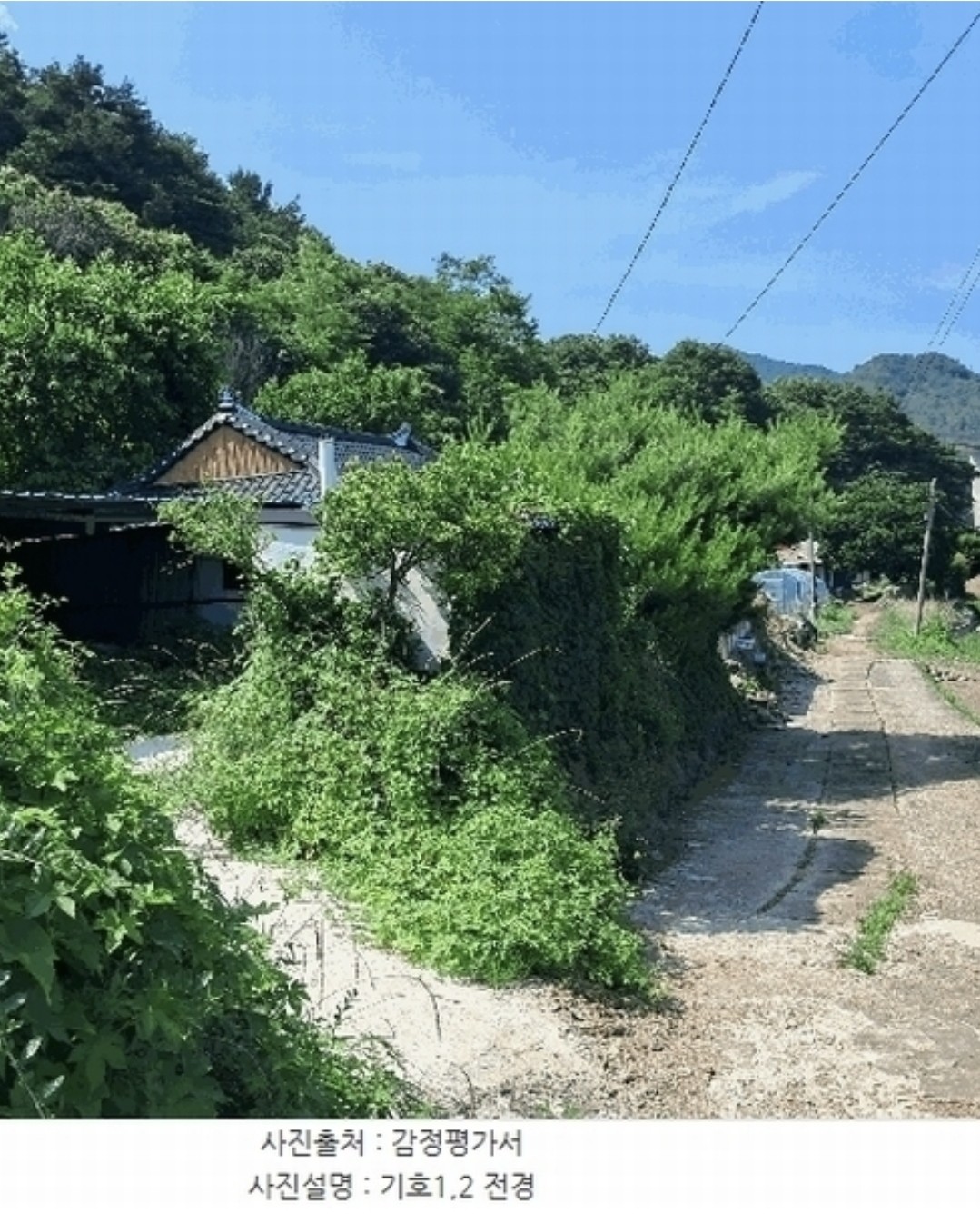 Post image 7
