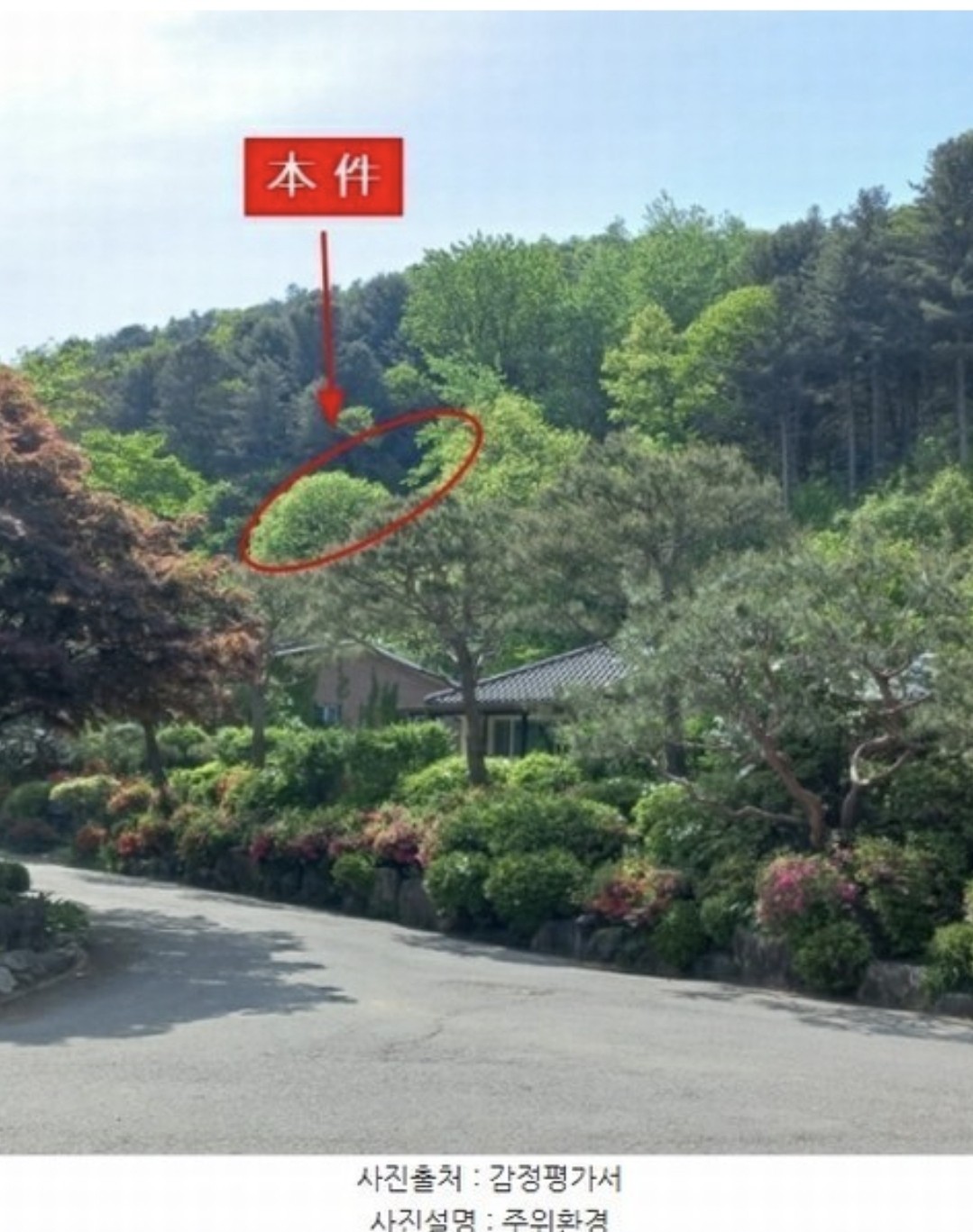 Post image 8
