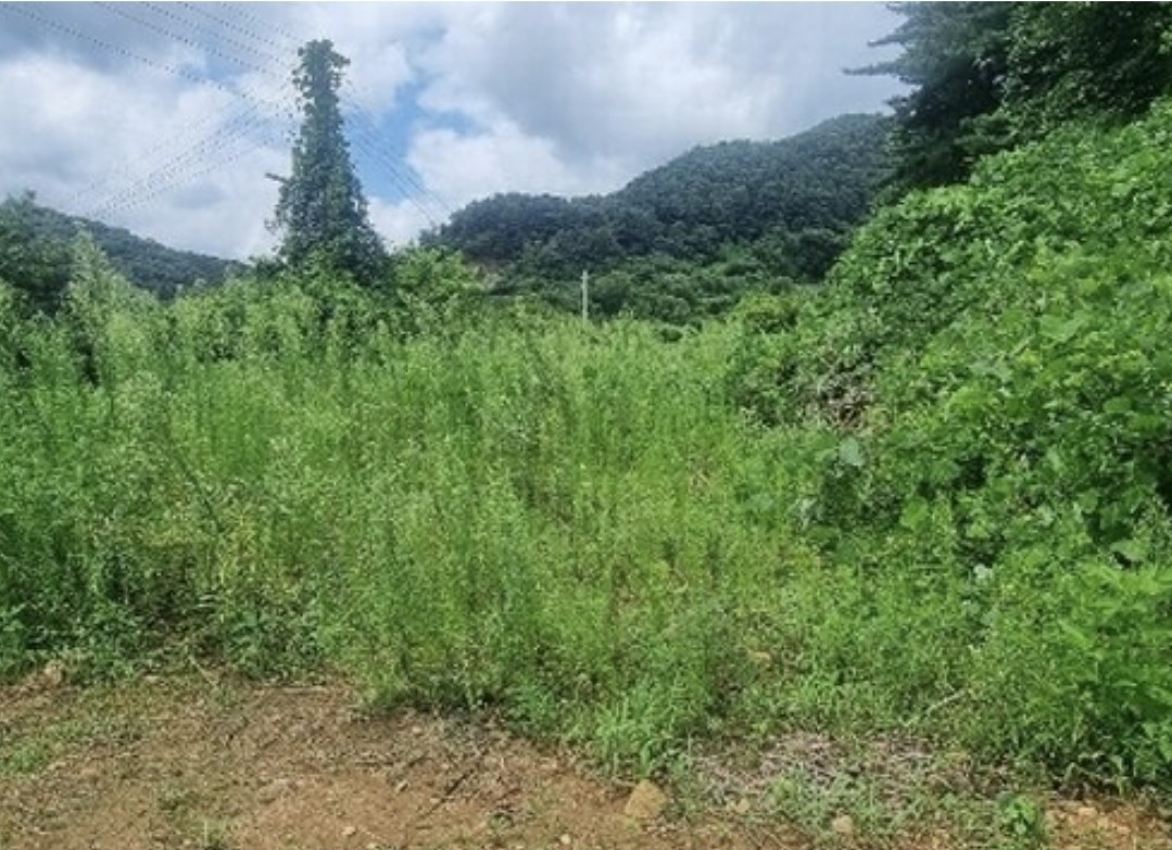 Post image 4