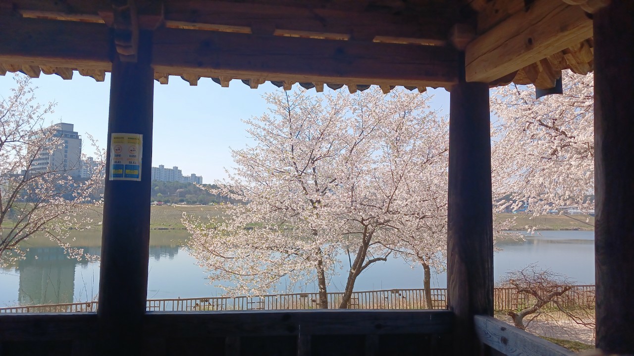 Post image 8