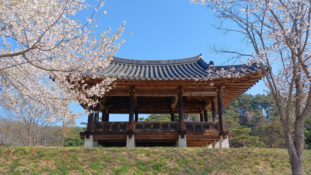 Post image 6