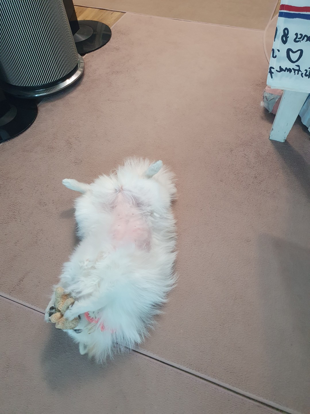 비오는날은 라떼처럼