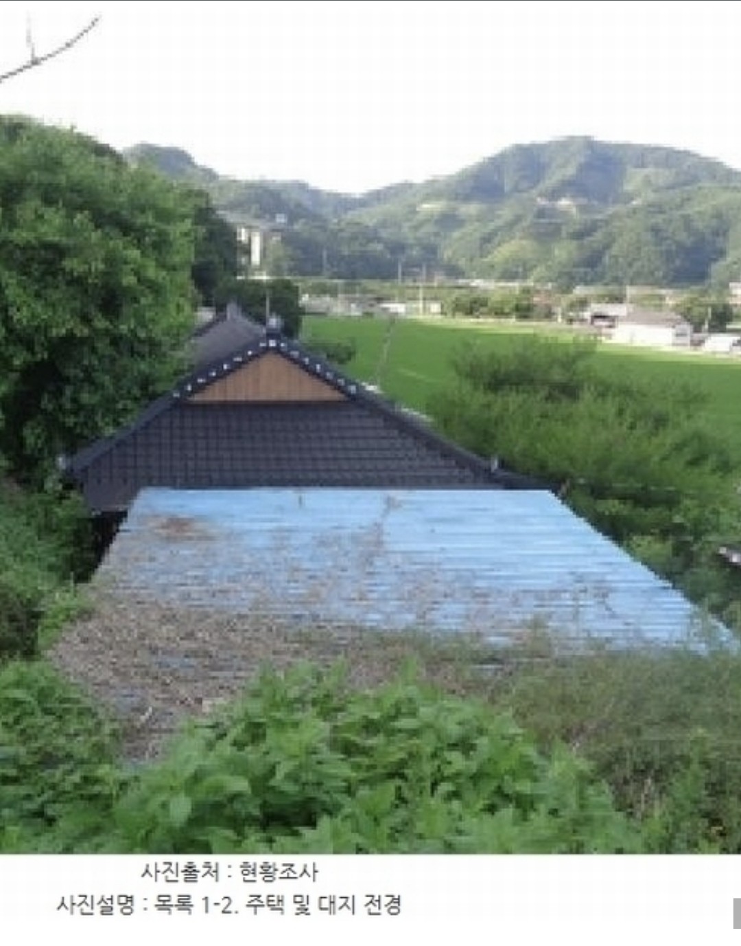 Post image 13