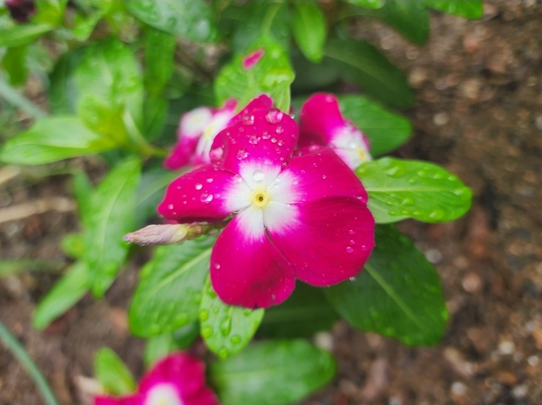 Post image 10