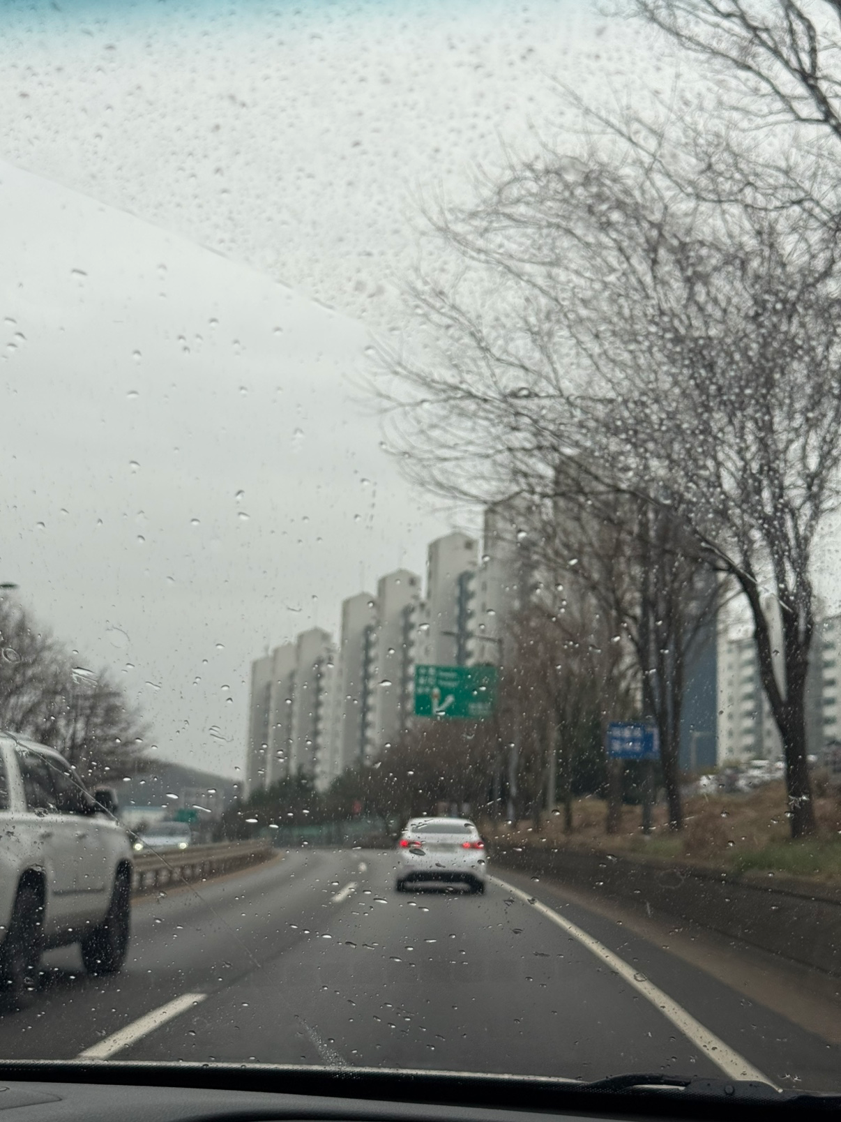 벚꽃도 제대로 못 봤는데 비가오네요 ㅠㅠ
