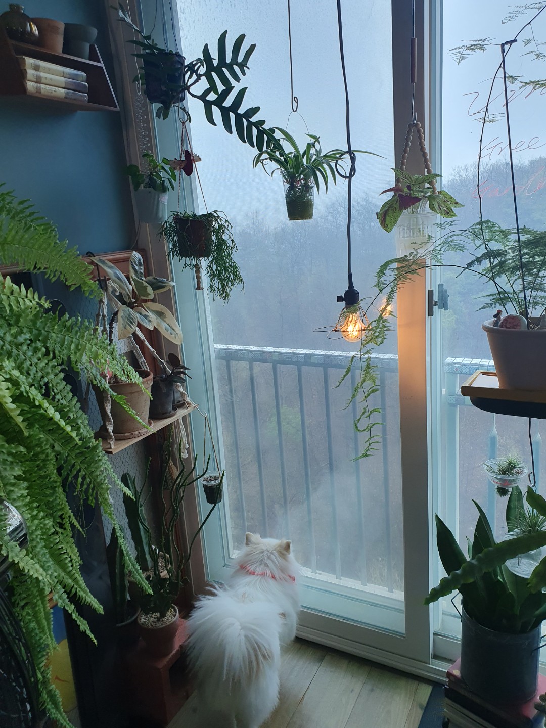 비오는날은 라떼처럼